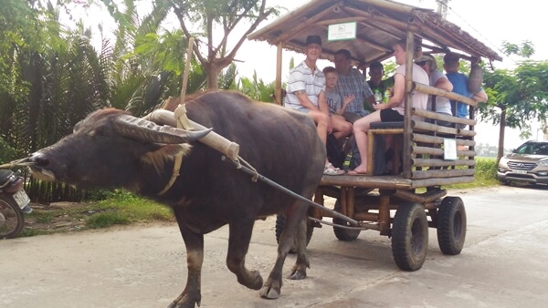 du khach tham quan cam thanh