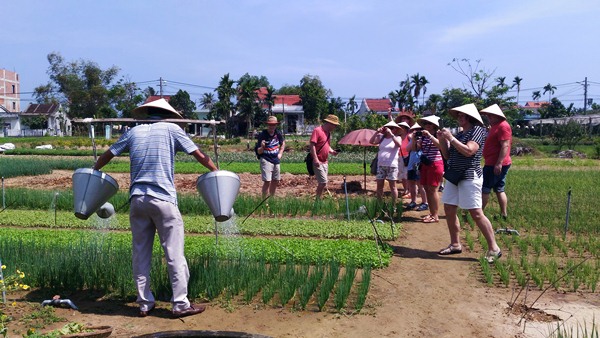 làm nông dân ở làng rau Trà Quế