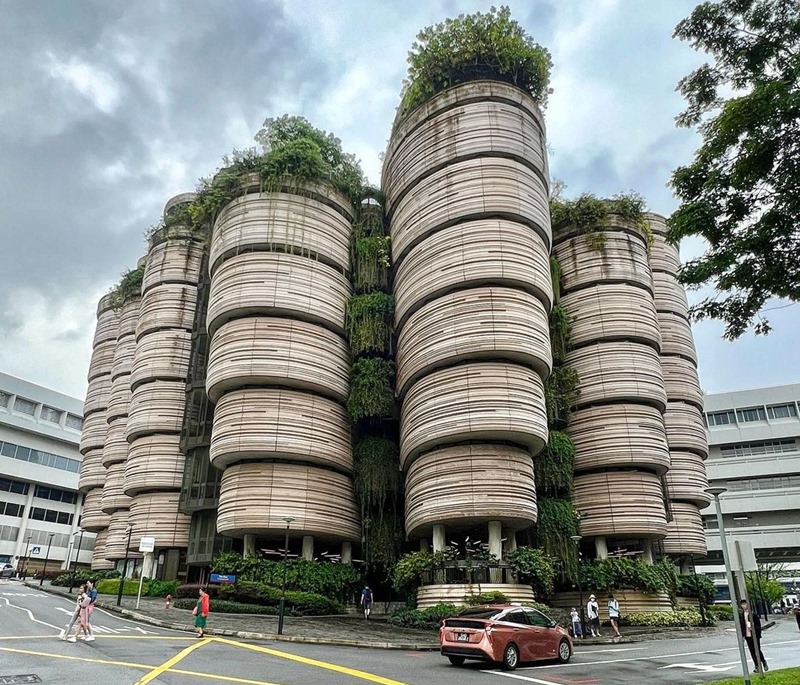 Trường đại học ở Singapore